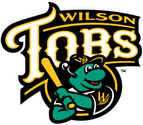 Wilson Tobs 2014-Pres Primary Logo iron on transfers for T-shirts
